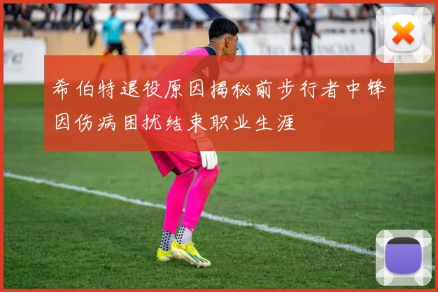 希伯特退役原因揭秘前步行者中锋因伤病困扰结束职业生涯